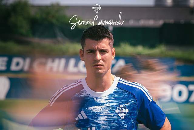 综合作用和 综合作用和