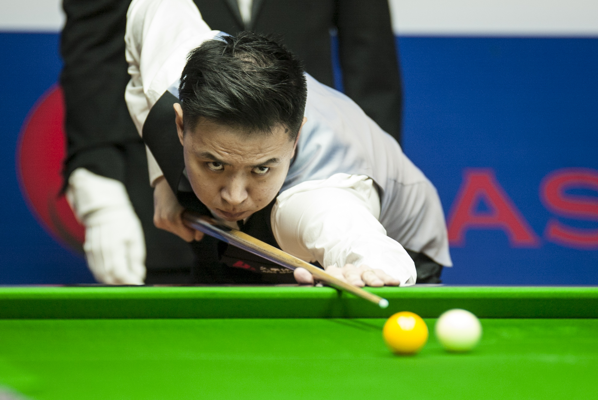 贡献了精彩 贡献了精彩