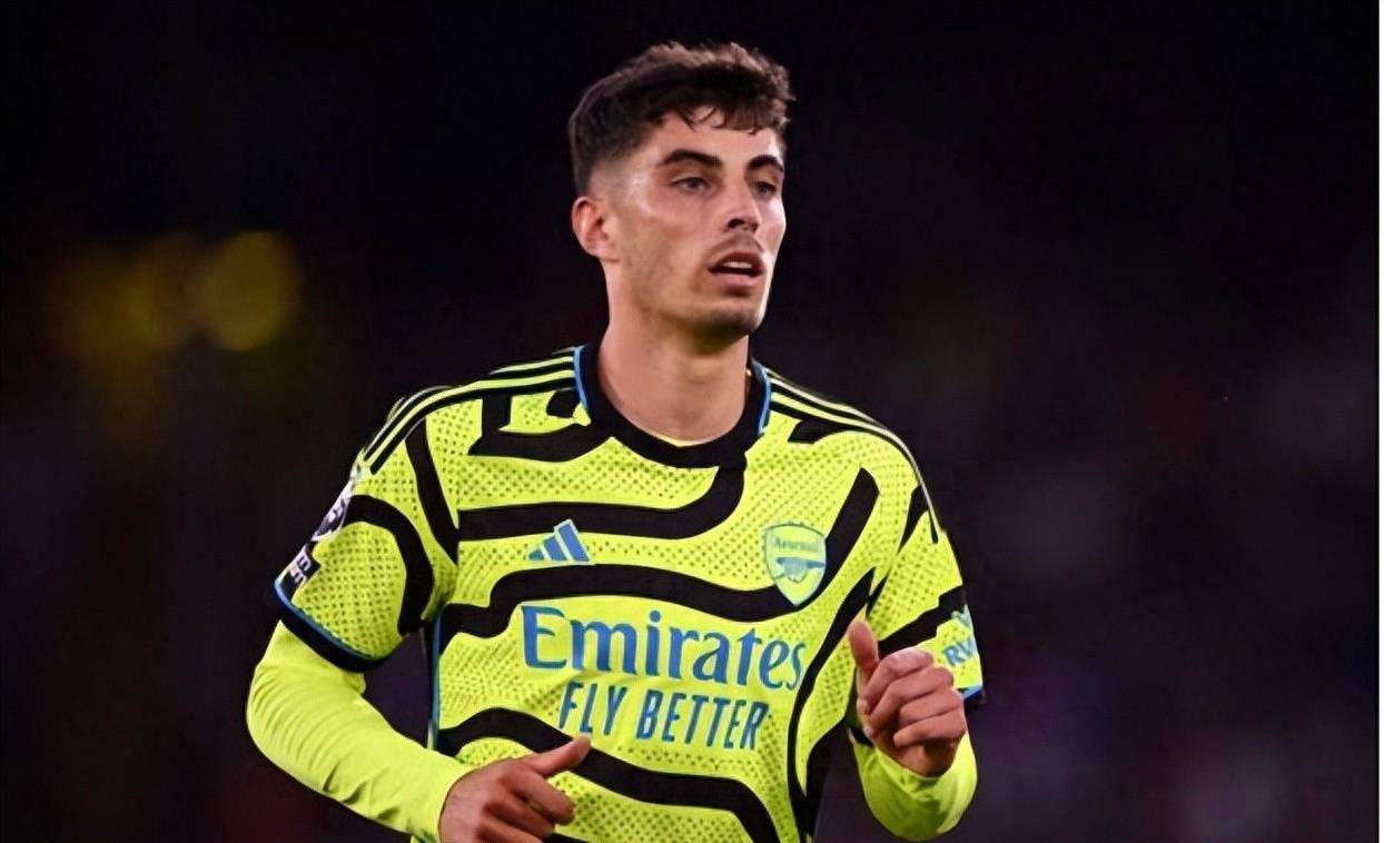 涯初期经历 涯初期经历