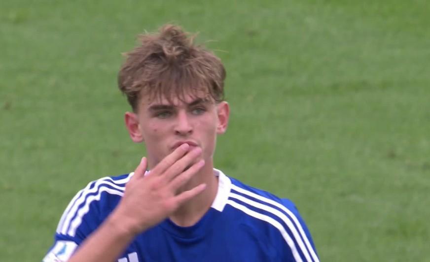 它把情绪固 它把情绪固